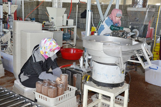 黑龙江:延军农场实现食用菌产业工业化